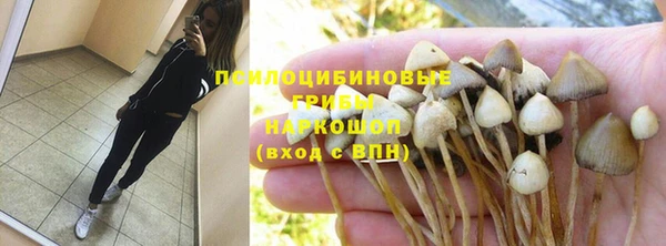 мдпв Новодвинск