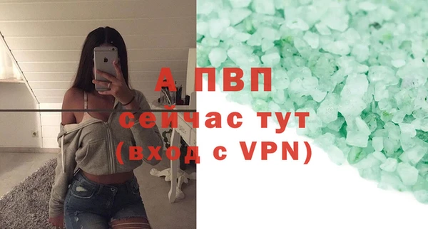 крисы Новозыбков