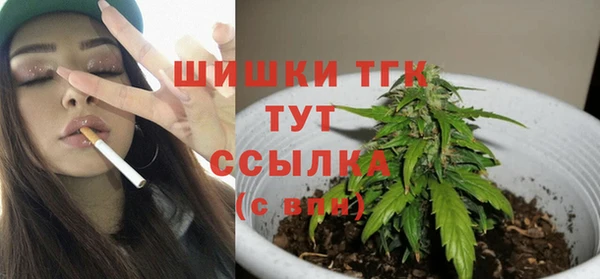 молекула духа Гусь-Хрустальный