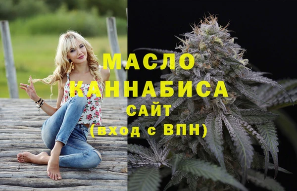 гидра Гусиноозёрск