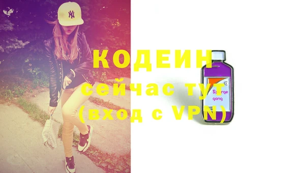крисы Новозыбков