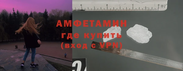 крисы Новозыбков