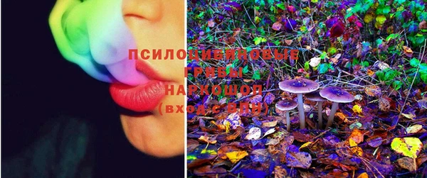 крисы Новозыбков