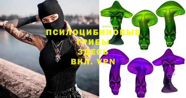 крисы Новозыбков