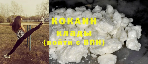 гидра Гусиноозёрск
