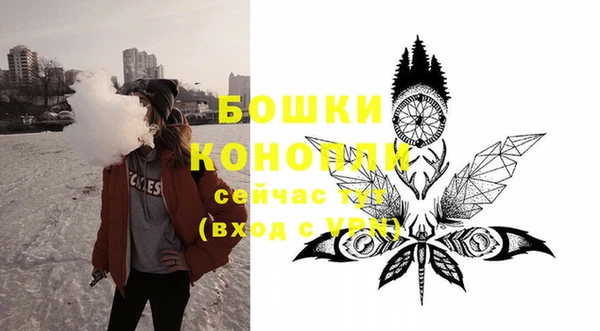 крисы Новозыбков